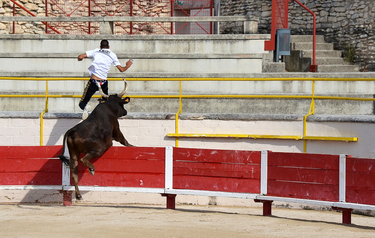 三分投射机